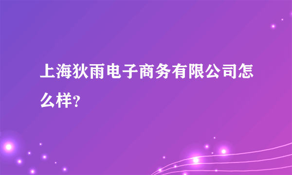 上海狄雨电子商务有限公司怎么样？