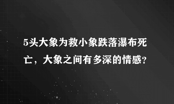 5头大象为救小象跌落瀑布死亡，大象之间有多深的情感？