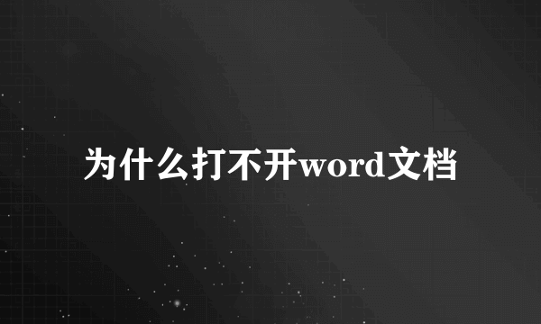 为什么打不开word文档