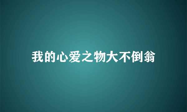 我的心爱之物大不倒翁