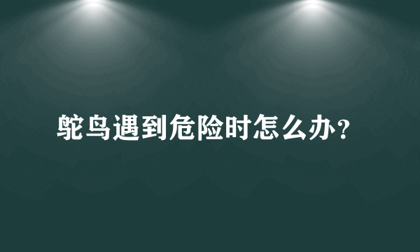 鸵鸟遇到危险时怎么办？