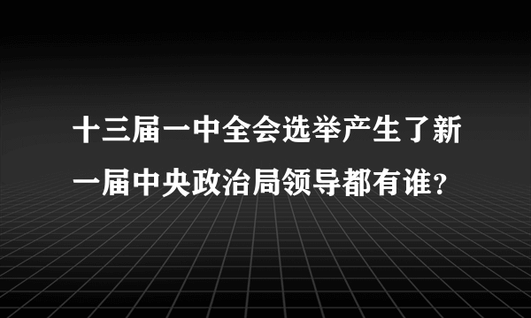 十三届一中全会选举产生了新一届中央政治局领导都有谁？