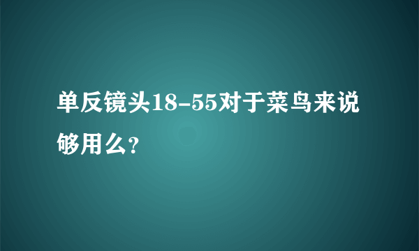 单反镜头18-55对于菜鸟来说够用么？