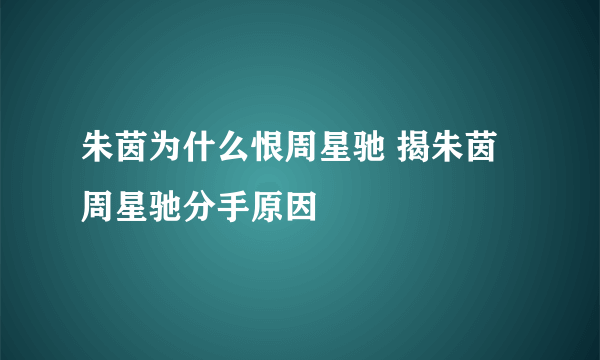 朱茵为什么恨周星驰 揭朱茵周星驰分手原因