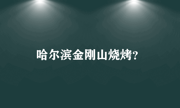 哈尔滨金刚山烧烤？