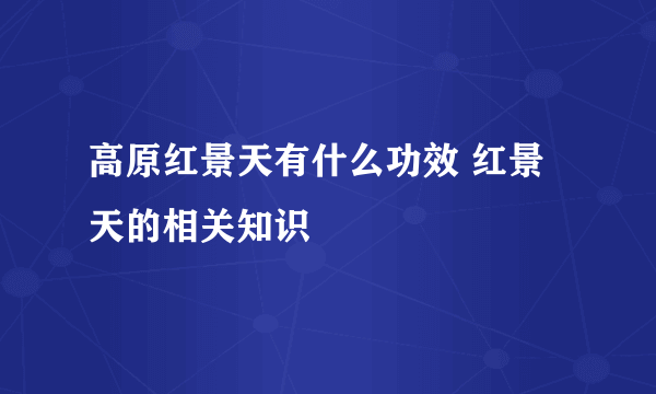 高原红景天有什么功效 红景天的相关知识