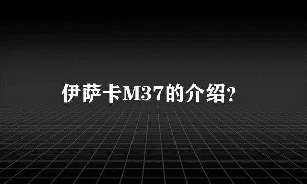 伊萨卡M37的介绍？