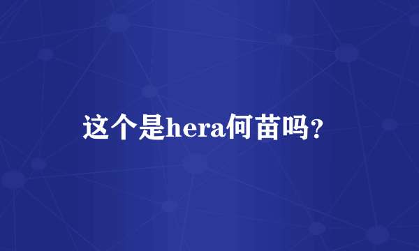 这个是hera何苗吗？