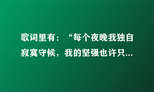 歌词里有：“每个夜晚我独自寂寞守候，我的坚强也许只有你才懂，假如现在你出现在我左右”，请帮忙，谢谢