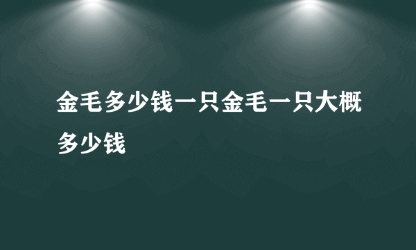 金毛多少钱一只金毛一只大概多少钱