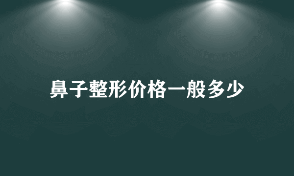 鼻子整形价格一般多少