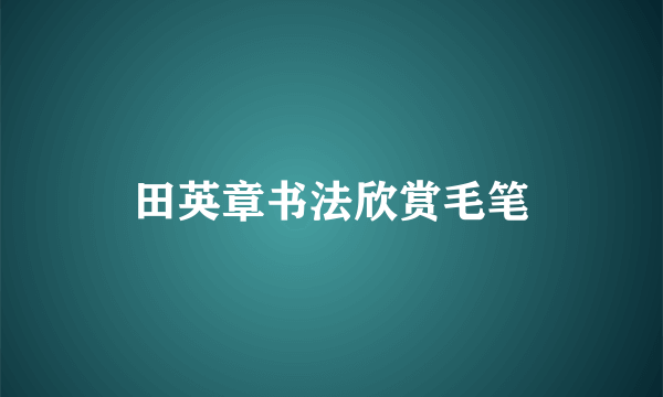 田英章书法欣赏毛笔