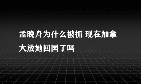 孟晚舟为什么被抓 现在加拿大放她回国了吗