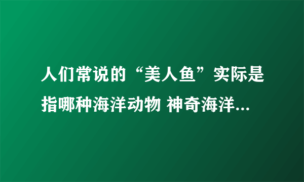 人们常说的“美人鱼”实际是指哪种海洋动物 神奇海洋8月7日答案