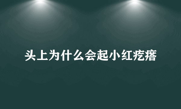 头上为什么会起小红疙瘩