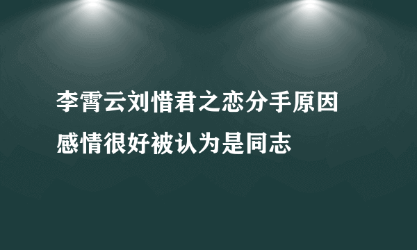 李霄云刘惜君之恋分手原因 感情很好被认为是同志