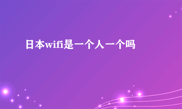 日本wifi是一个人一个吗