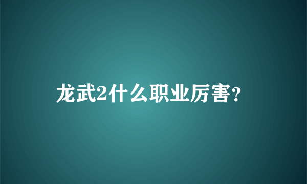 龙武2什么职业厉害？