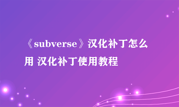 《subverse》汉化补丁怎么用 汉化补丁使用教程