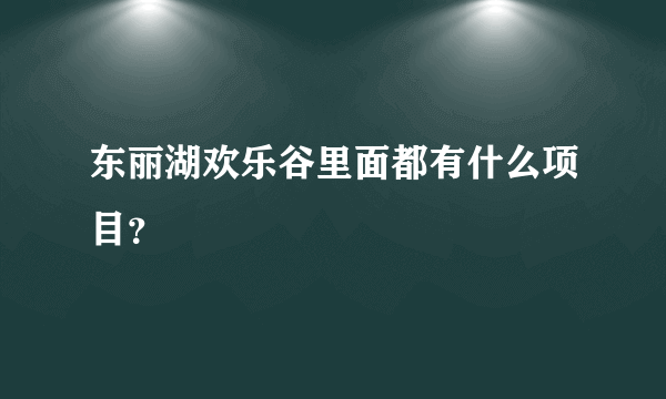 东丽湖欢乐谷里面都有什么项目？