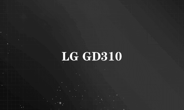 LG GD310