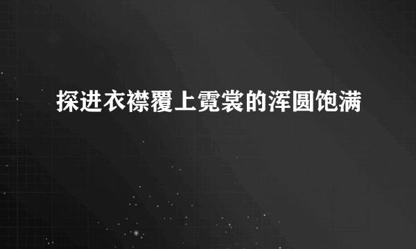 探进衣襟覆上霓裳的浑圆饱满