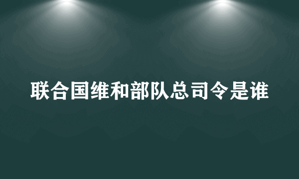 联合国维和部队总司令是谁