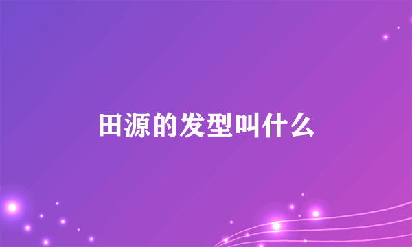 田源的发型叫什么