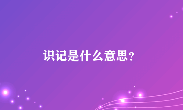 识记是什么意思？