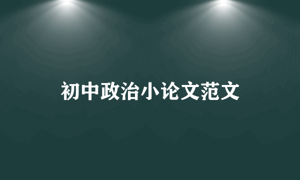 初中政治小论文范文