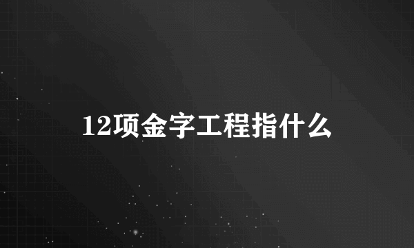 12项金字工程指什么