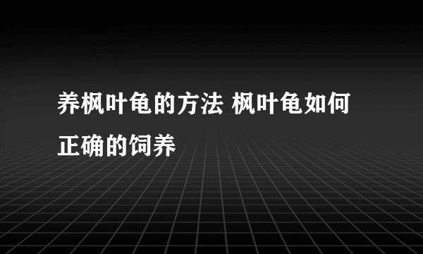 养枫叶龟的方法 枫叶龟如何正确的饲养