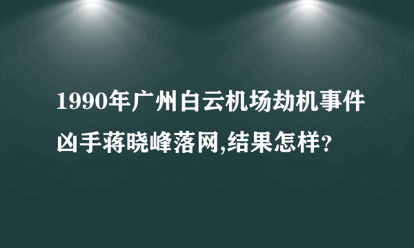 1990年广州白云机场劫机事件凶手蒋晓峰落网,结果怎样？