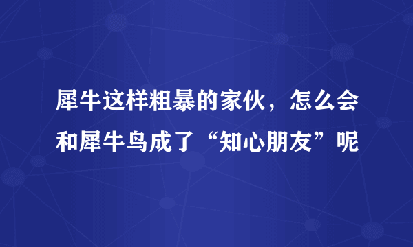 犀牛这样粗暴的家伙，怎么会和犀牛鸟成了“知心朋友”呢