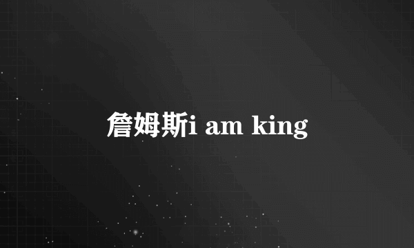 詹姆斯i am king