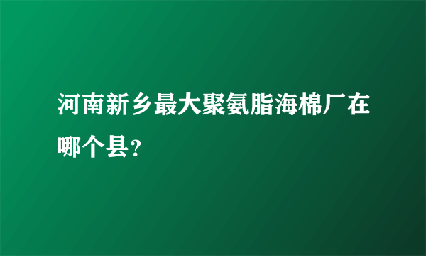 河南新乡最大聚氨脂海棉厂在哪个县？