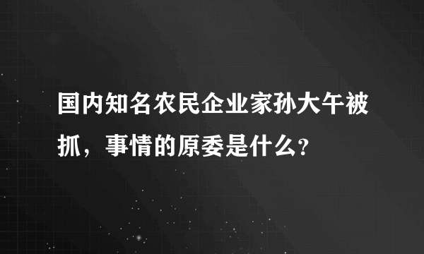 国内知名农民企业家孙大午被抓，事情的原委是什么？