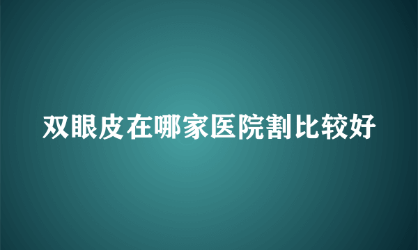 双眼皮在哪家医院割比较好