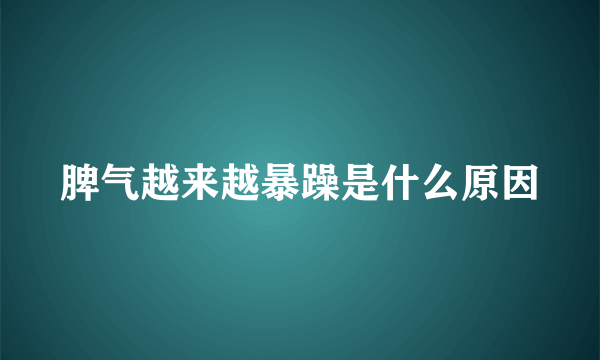 脾气越来越暴躁是什么原因