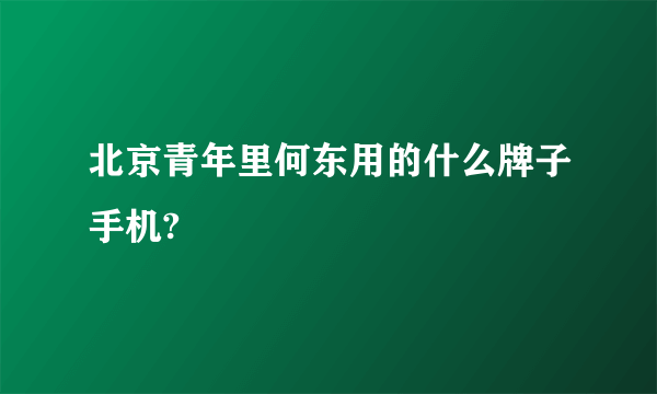 北京青年里何东用的什么牌子手机?