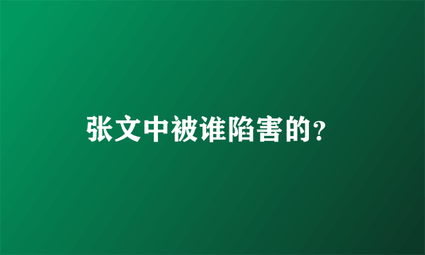 张文中被谁陷害的？