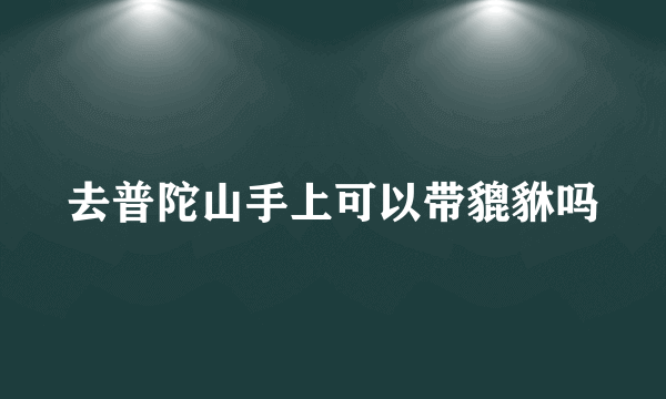 去普陀山手上可以带貔貅吗