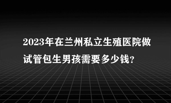 2023年在兰州私立生殖医院做试管包生男孩需要多少钱？