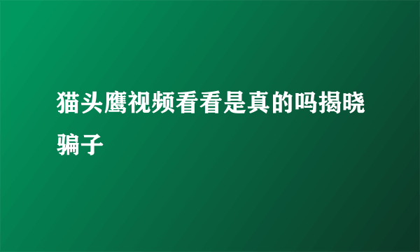 猫头鹰视频看看是真的吗揭晓骗子