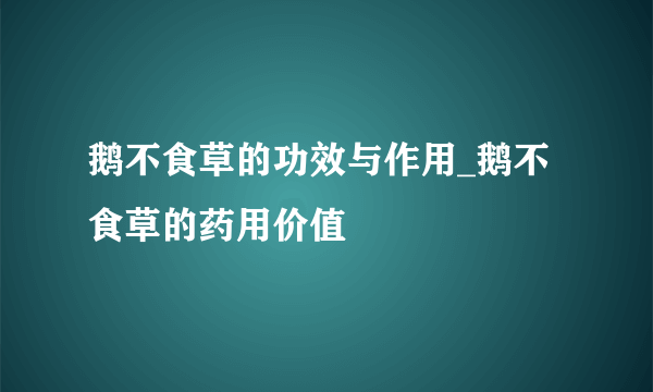 鹅不食草的功效与作用_鹅不食草的药用价值