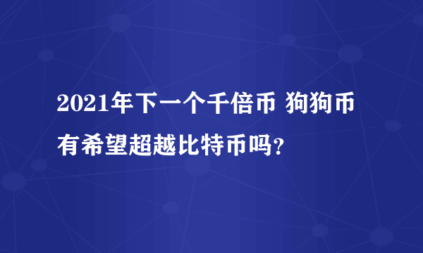 2021年下一个千倍币 狗狗币有希望超越比特币吗？