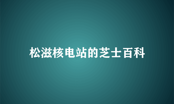 松滋核电站的芝士百科