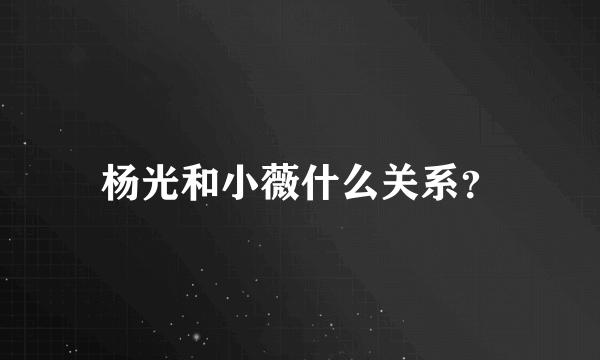 杨光和小薇什么关系？