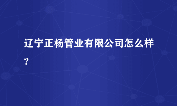 辽宁正杨管业有限公司怎么样？