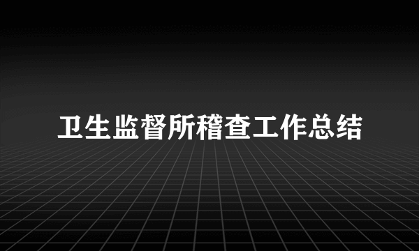 卫生监督所稽查工作总结